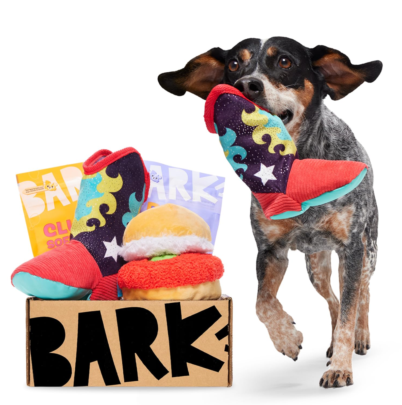 BarkBox Monthly Subscription Review: Best Box for Large Dogs?